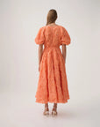 aje Florential Text Midi Dress apricot orange on figure back