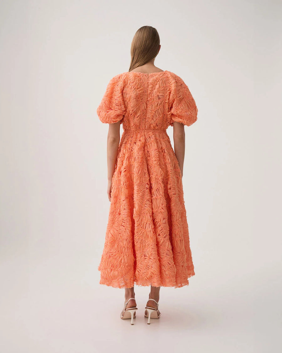 aje Florential Text Midi Dress apricot orange on figure back