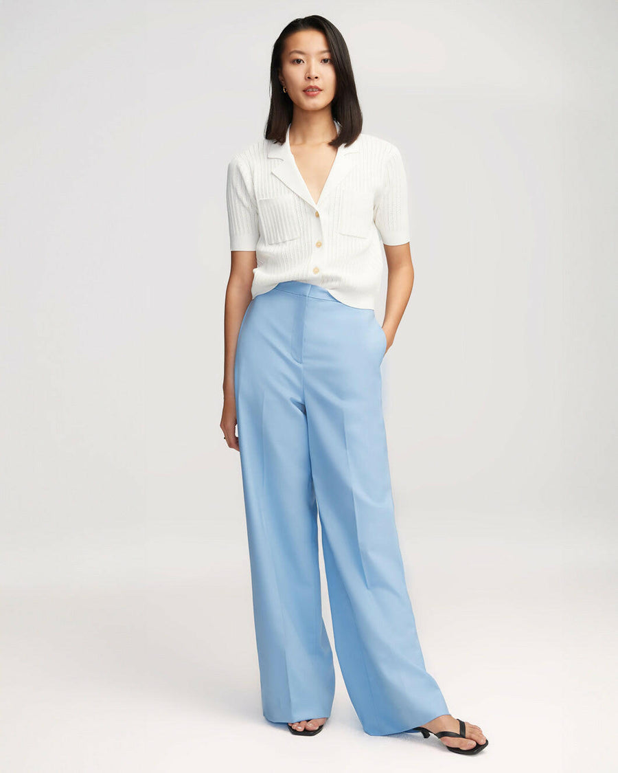 argent jones trouser sky blue on figure front