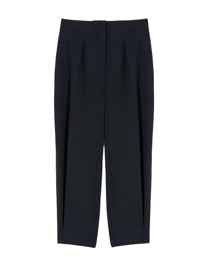 prune gold schmidt eva ankle pant navy pants isolated